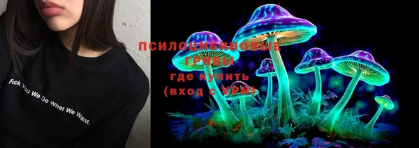 ALPHA PVP Елизово