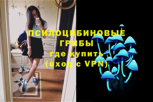 не бодяженный Ельня