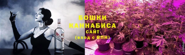ALPHA PVP Елизово