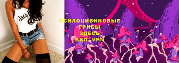 не бодяженный Ельня