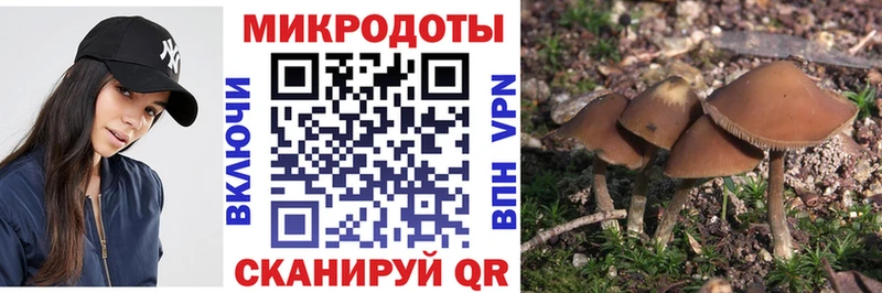 kraken как зайти  где купить   Фролово  Псилоцибиновые грибы мухоморы 