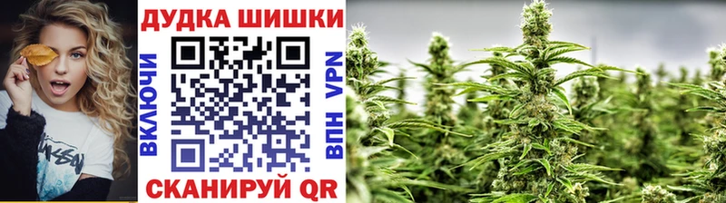 даркнет сайт  Фролово  МАРИХУАНА ГИДРОПОН 
